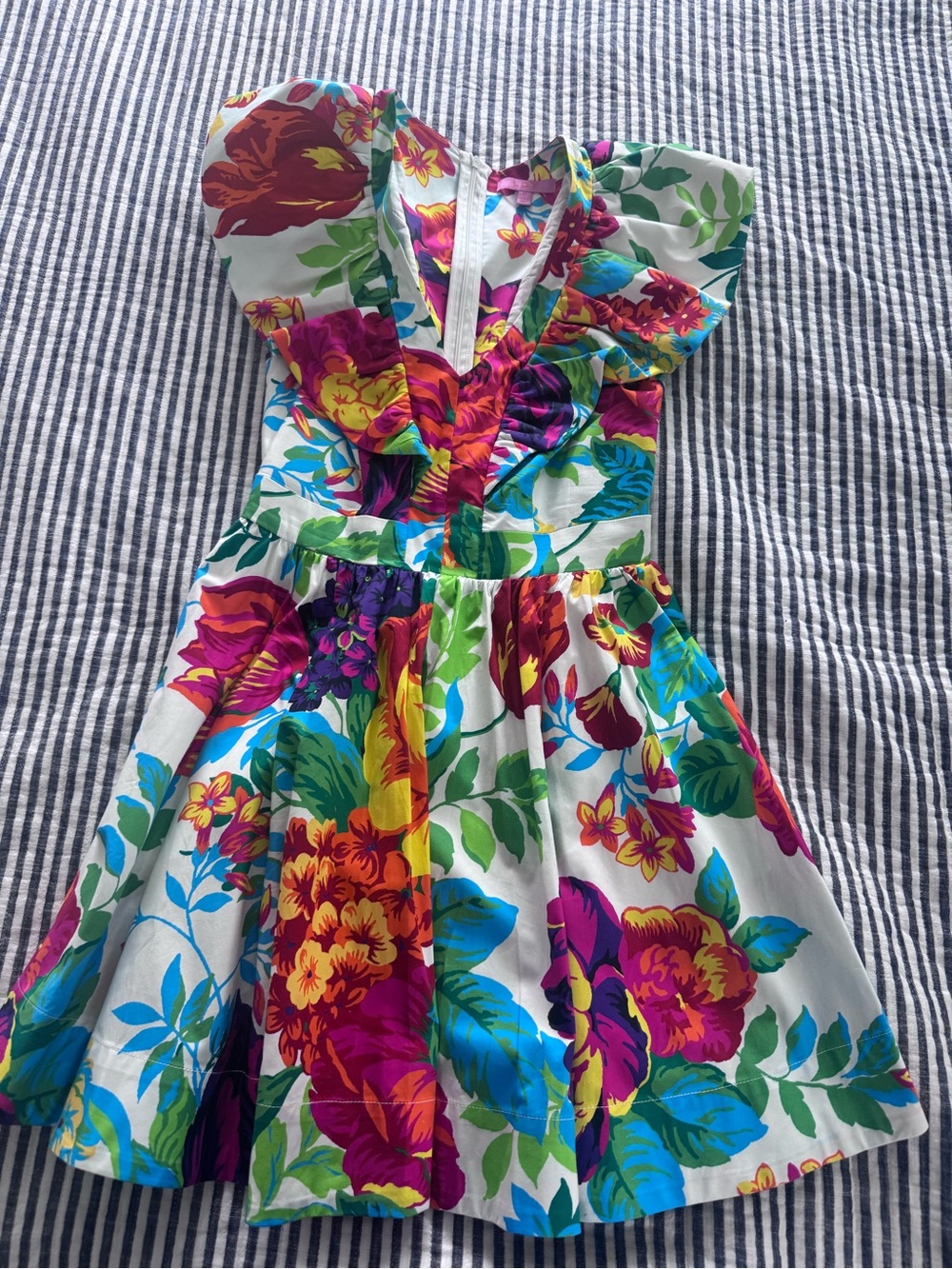Floral Ruffle V-Neck Mini Dress in Multicolor